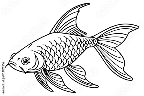 coloring page line art the tetra fish black vector
