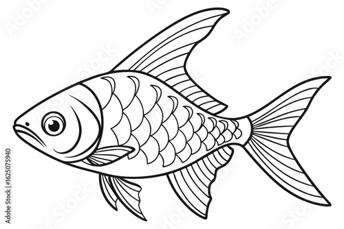 coloring page line art the tetra fish black vector