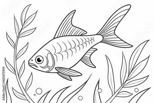 coloring page line art the tetra fish black vector