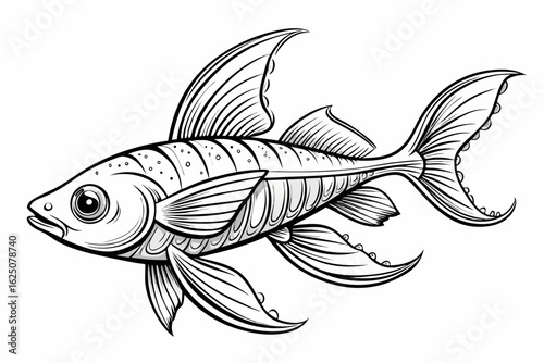 coloring page line art the sword tail black vector