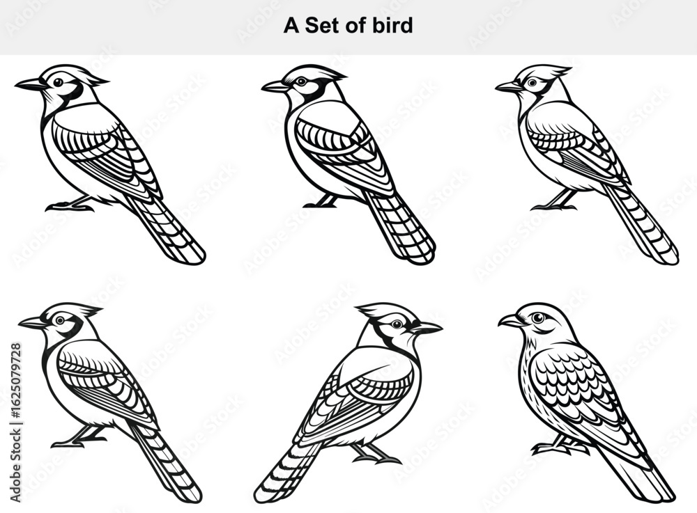Fototapeta premium Illustration of Six Different Bird Poses