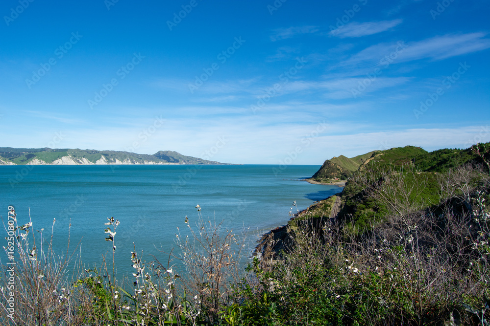 Fototapeta premium Scenic Coastal View with Blue Ocean and Green Hills