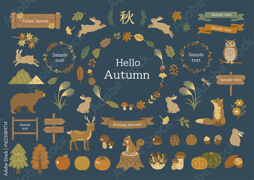 Autumn leaves and forest animals illustration set