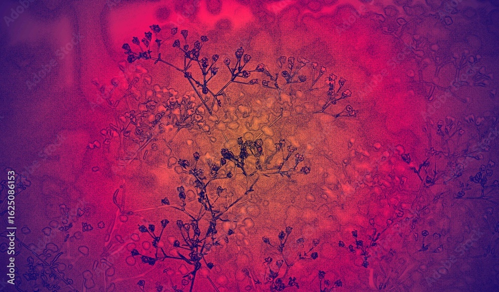image to crop