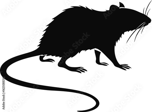 Black silhouette of a rat walking isolated on white background