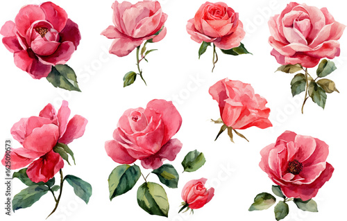 seamless pattern of roses