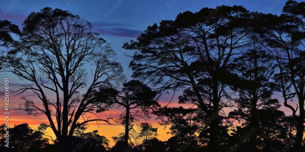 Fototapeta premium The silhouette of trees against a vibrant sunset sky at twilight.