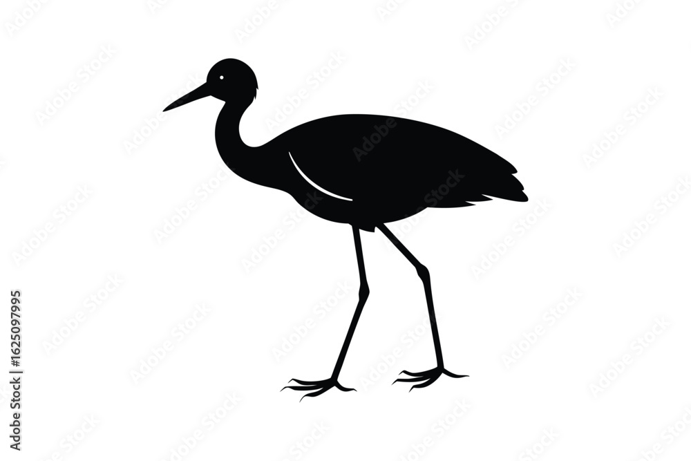 Fototapeta premium black crowned crane