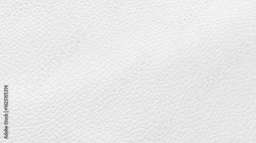 Textured White Surface Showing Fine Patterns and Subtle Variations in Tone and Light, Creating a Delicate and Visually Interesting Backdrop