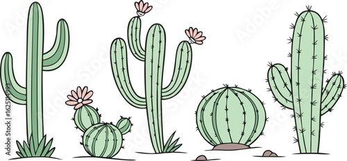 cactus in desert on illustration 