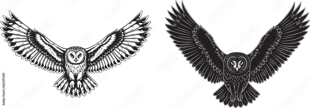 Fototapeta premium Vector art of two owls flying with wings spread, one light and one dark, isolated on white background