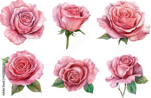 bouquet of roses