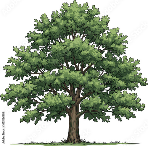 Majestic Tree Illustration, Thick Trunk, Green Canopy, Natural Forest Scene, Eco Art, Botanical Design