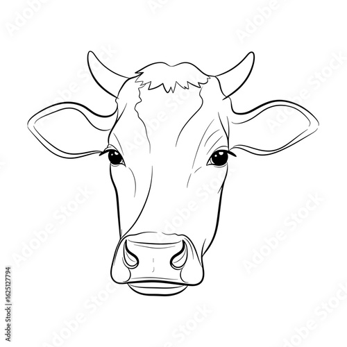 Illustration depicting the head of a cow with horns and large ears in a front facing view drawing