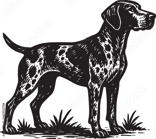 Linocut-style illustration of a German Shorthaired Pointer dog standing alert on grass in bold black and white.