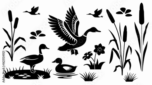 Silhouette illustration of ducks in flight and swimming among reeds and flowers in a wetland scene