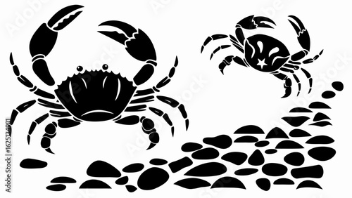 Two crabs with claws raised above a pile of rocks in a black and white vector illustration style silhouette