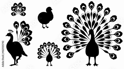 Silhouette illustration of peacocks and a chick in various poses and feather displays on a white background