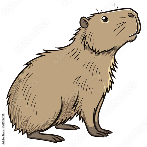 vector illustration of a brown bear