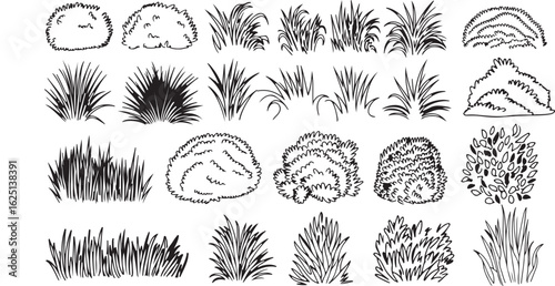 Wallpaper Mural Set of grass hand drawn grass field outline scribble background. Sprout, flower, clover elements. Vector illustration. Torontodigital.ca