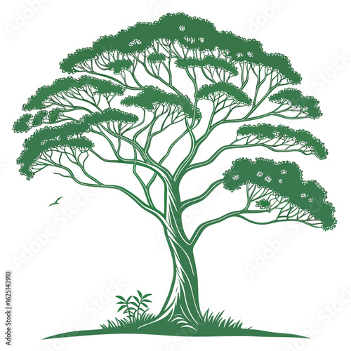 A stylized illustration of a rainforest tree with a prominent thick trunk and lush foliage suitable for nature and environmental themes