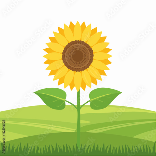 Vibrant sunflower blooms in lush green landscape nature bright environment close-up view