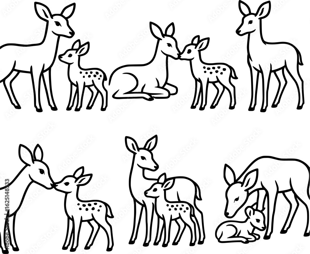 Obraz premium Deer with Fawn Line Art Wildlife Vector Illustration Set 