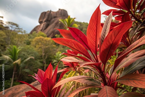Vibrant red tropical plant leaves with lush green foliage and rocky outcrop red leaves
