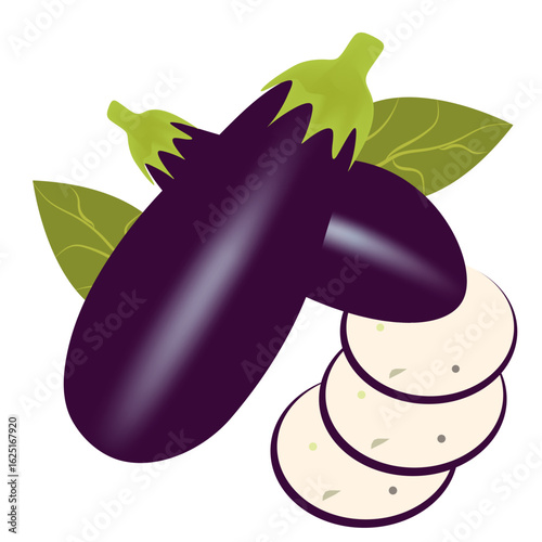 Beautiful eggplant in vector format.