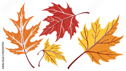 autumn leaves isolated on white