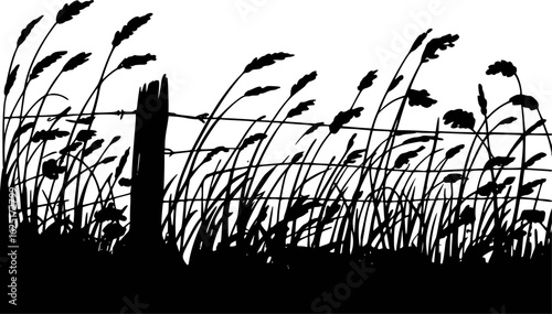 Black silhouette of windblown grass and fence white
