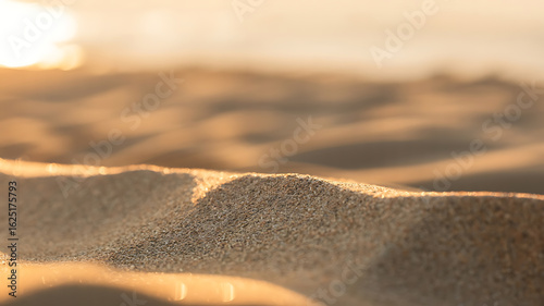 Golden light on textured desert sand.
