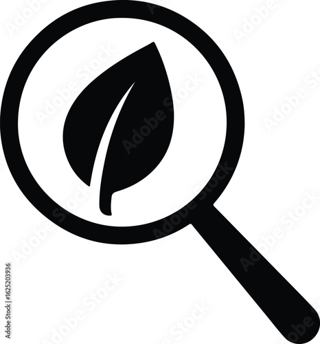Silhouette leaf under magnifying glass icon vector illustrator