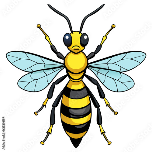 bee on white background