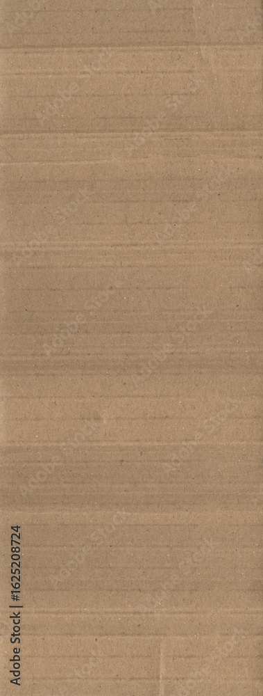 Fototapeta premium Cardboard Trexture