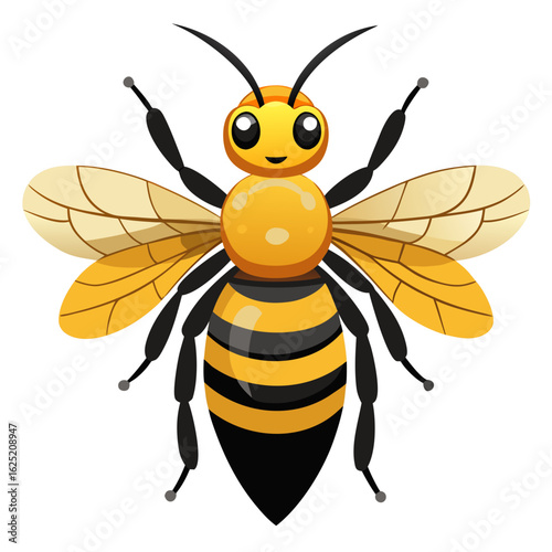 bee on white background