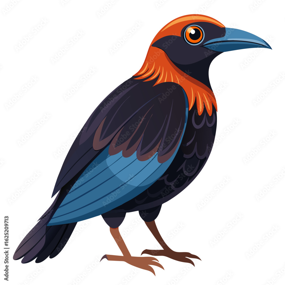 Obraz premium vector illustration of a bird isolated on white