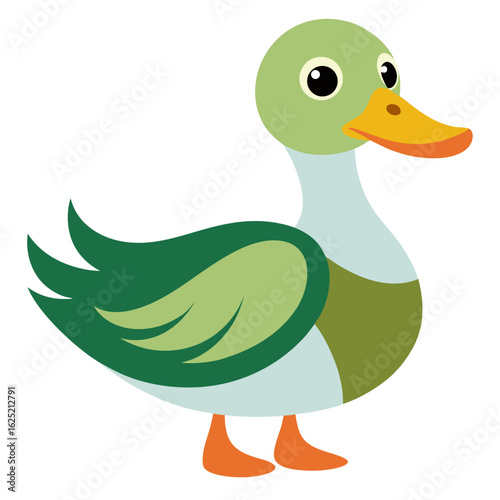duck and ducklings