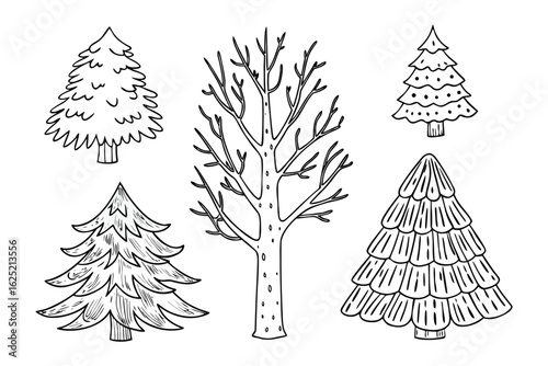 Tree Variety Sketch: A collection of hand-drawn tree illustrations presents a delightful array of arboreal forms, perfect for adding a touch of nature's charm to any project. 