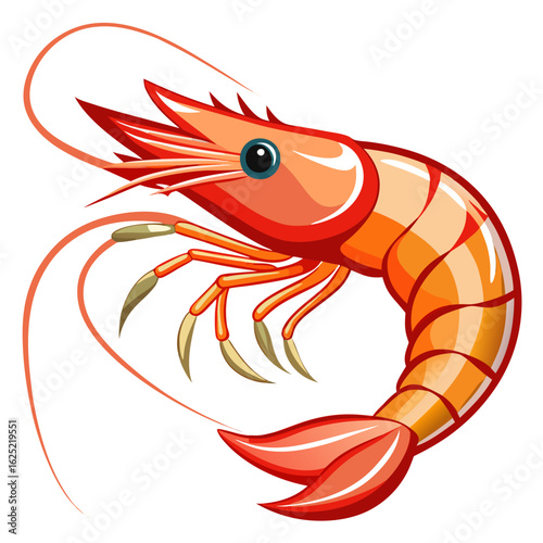 vector illustration of a shrimp