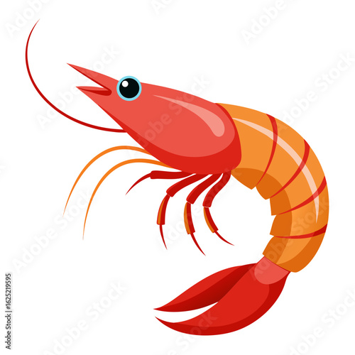 vector illustration of shrimp