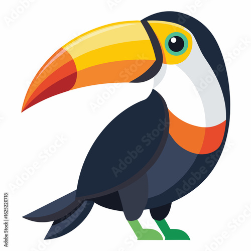 toucan isolated on white background