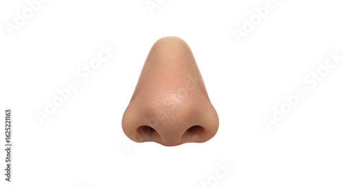 Photos Isolated Human Nose