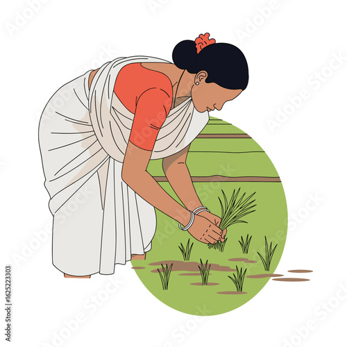 A woman farmer carefully tending to young rice plants in a paddy field