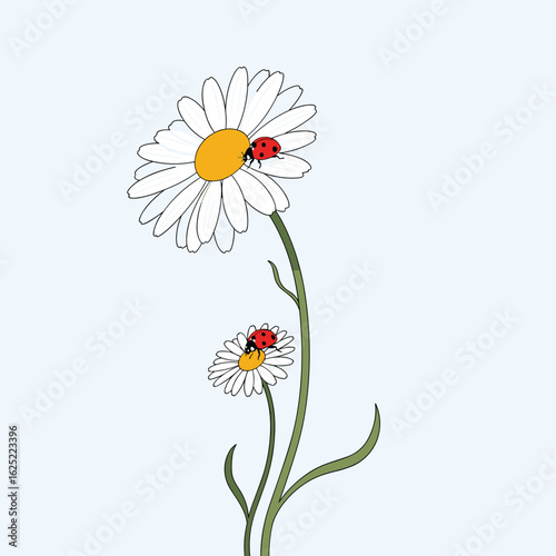 Charming daisies with ladybugs adorning their petals in a gentle breeze