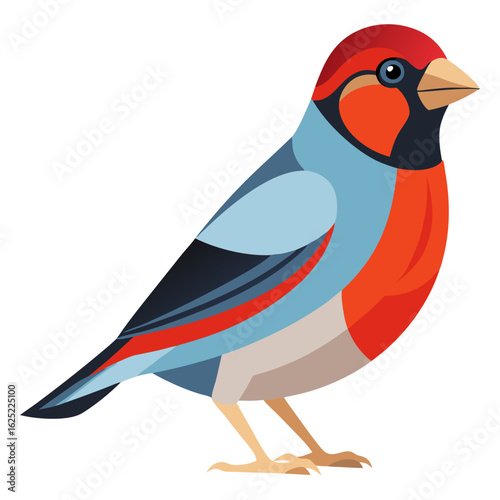 vector illustration of a bird