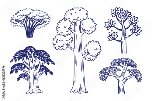 Sketches of Trees: Five hand-drawn illustrations showcase an array of arboreal forms, from towering trunks to delicate branches, rendered in elegant ink lines on a neutral background.