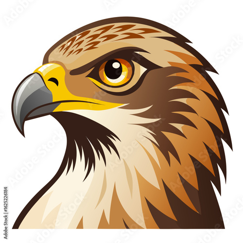 eagle head vector illustration