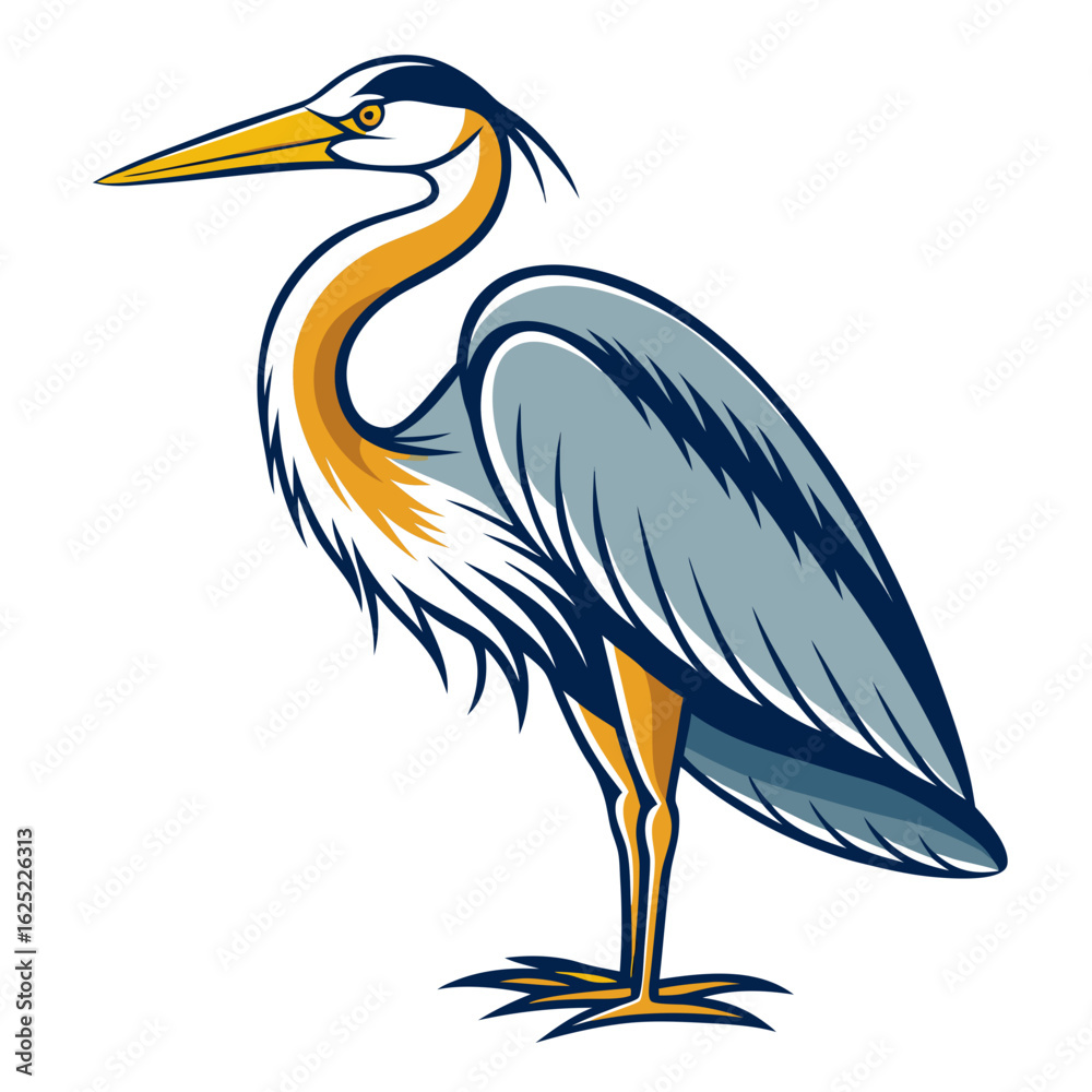 Fototapeta premium great blue heron ardea cinerea