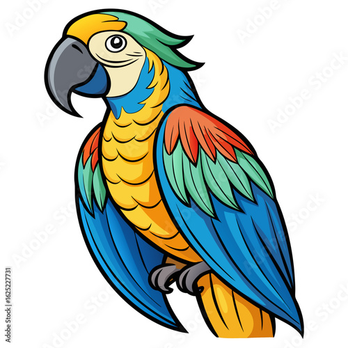 blue and yellow macaw